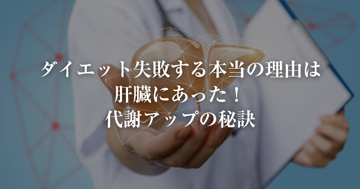 ダイエットが失敗する本当の理由は肝臓にあった！整体師が教える代謝アップの秘訣