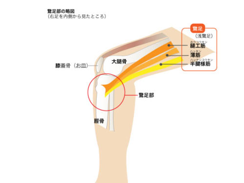 佐賀リカバリング整体院 大財院